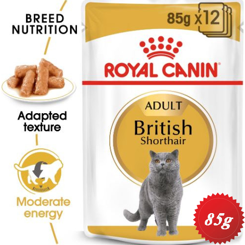 خرید و قیمت پوچ گربه بریتیش British Shorthair 12x85g