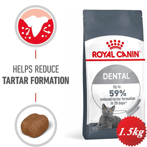 خرید و قیمت غذای خشک گربه دنتال رویال کنین dental care 1.5kg