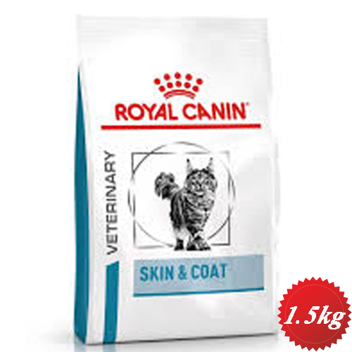 خرید و قیمت غذای خشک گربه اسکین اند کوت رویال کنین برای پوست و مو cat skin and coat 1.5kg