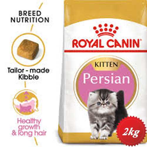خرید و قیمت پرشین کیتن رویال persian kitten 2kg