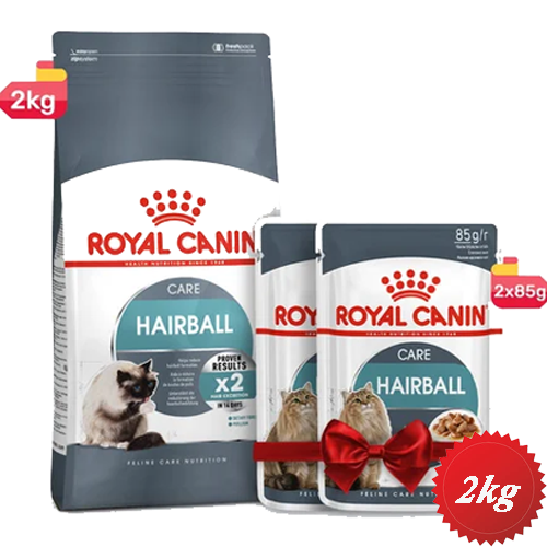 خرید و قیمت غذای خشک گربه هیربال رویال کنین hairball care 2kg