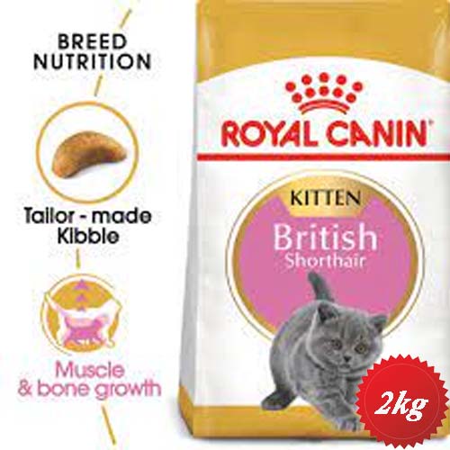 خرید و قیمت غذای خشک گربه بریتیش رویال کنین british shorthair kitten 2kg