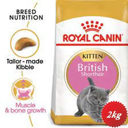 خرید و قیمت غذای خشک گربه بریتیش رویال کنین british shorthair kitten 2kg