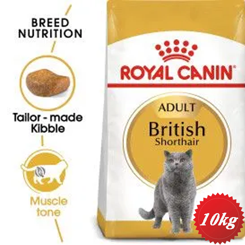 خرید و قیمت غذای خشک گربه پرشین ادالت رویال کنین Royal Canin Persian Adult 10kg