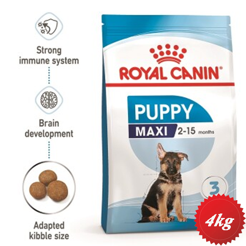 خرید و قیمت غذای خشک سگ پاپی رویال کنین Maxi Puppy 4kg