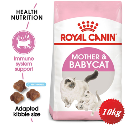 خرید و قیمت غذای خشک گربه رویال کنین مادر اند بیبی mother and babycat 10kg