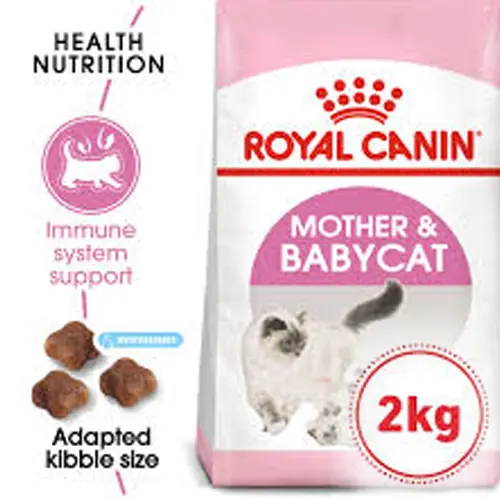خرید و قیمت غذای خشک گربه رویال کنین مادر اند بیبی mother and babycat 2kg