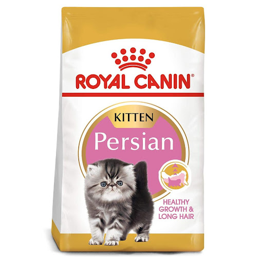 خرید و قیمت غذای خشک گربه پرشین کیتن رویال کنین