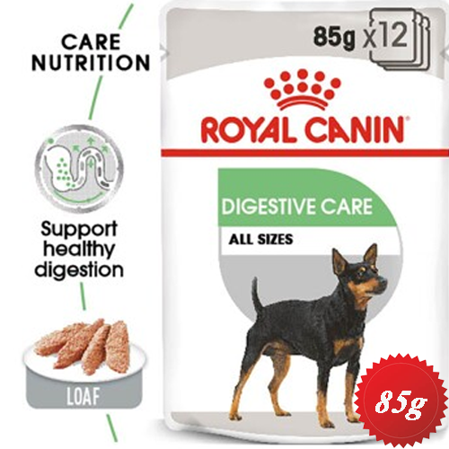 خرید و قیمت غذای مرطوب سگ رویال کنین dog digestive pouch 12x85g